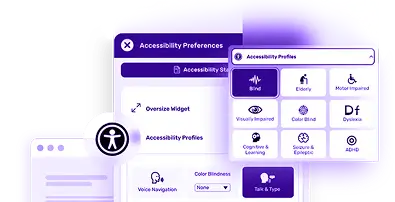 All in One Accessibility Quick Accessibility Solution image