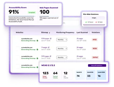 Accessibility Scanning & Monitoring